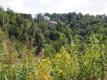 Chateau de Reinhardstein (België)